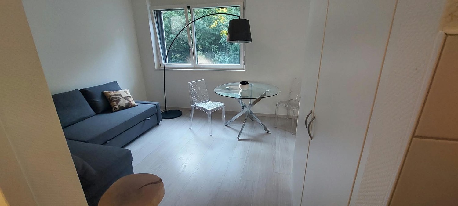 1 ½ rooms apartment, photo 1 sur 4