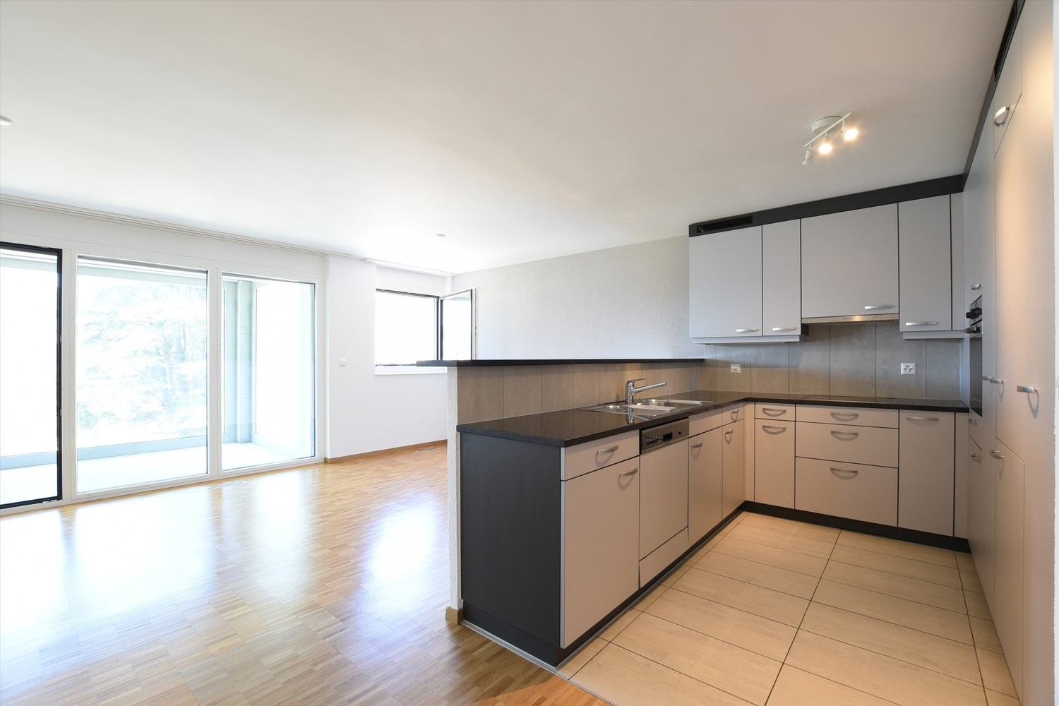 4 ½ rooms apartment, photo 4 sur 7