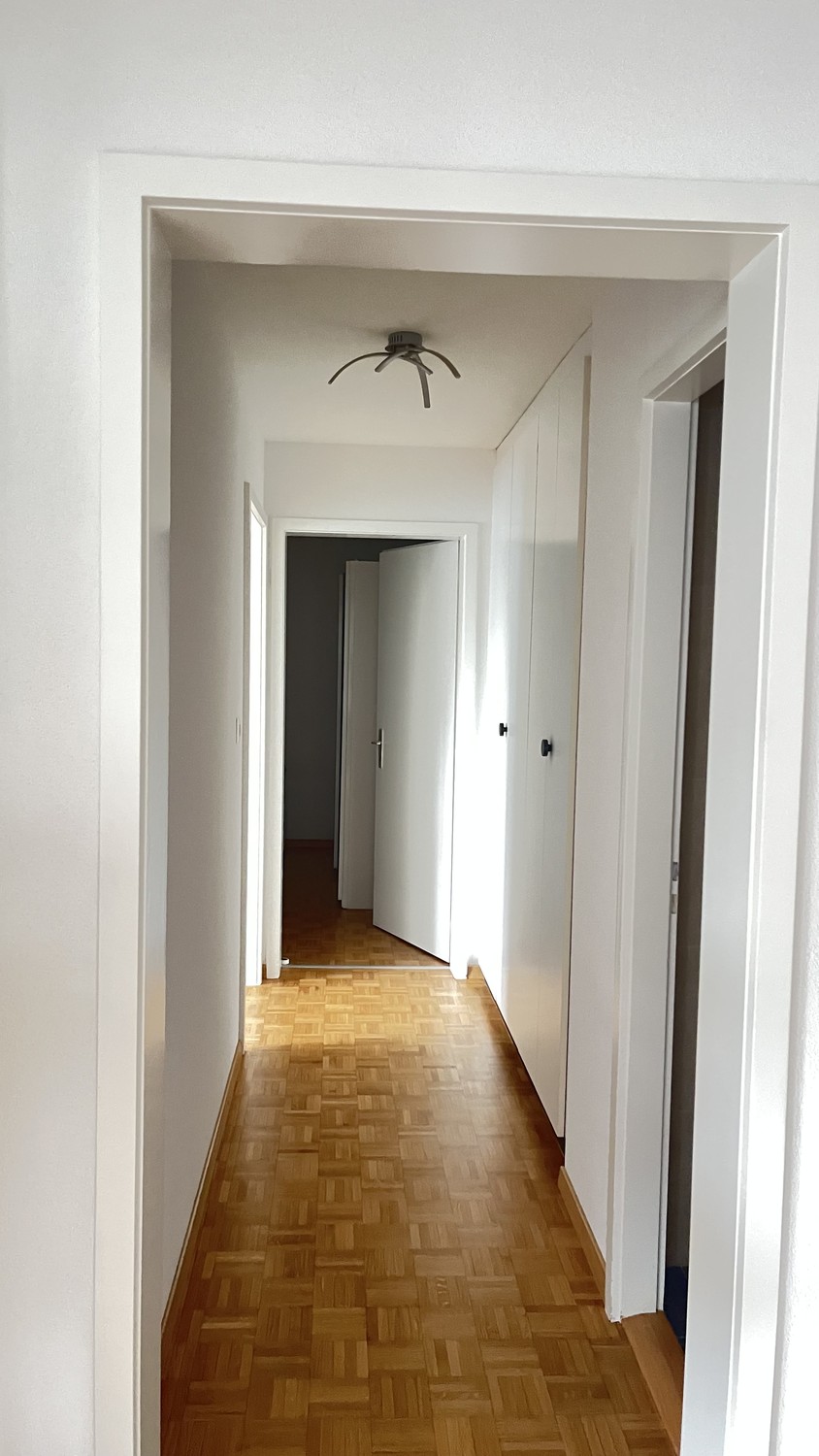 3 ½ rooms apartment, photo 3 sur 8