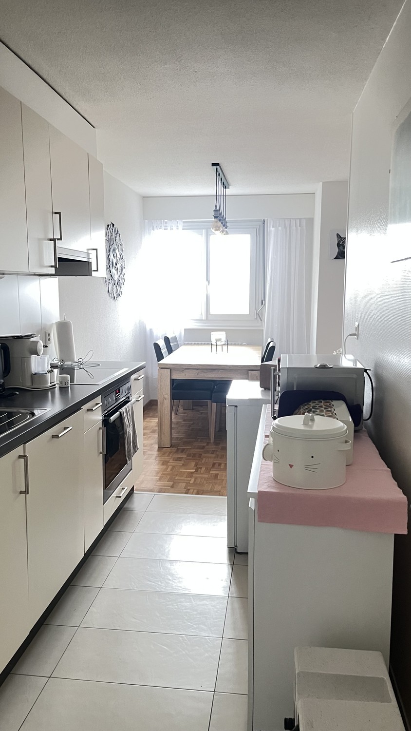 3 ½ rooms apartment, photo 1 sur 8