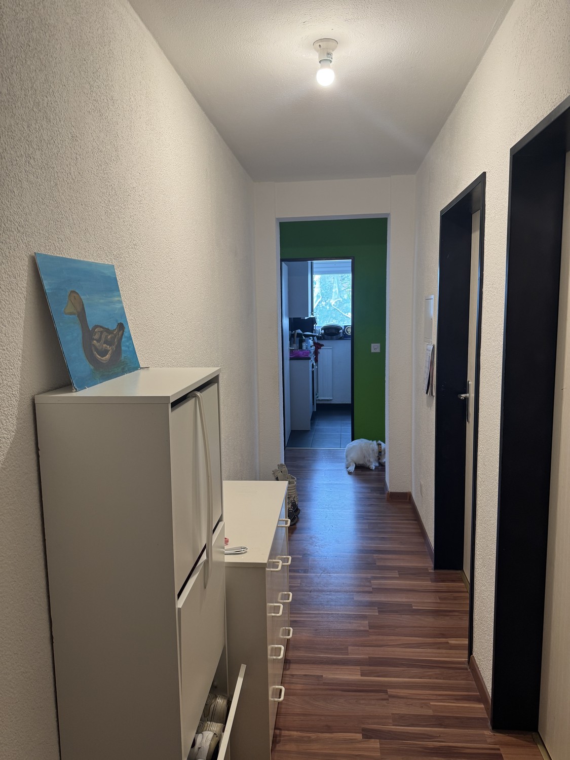 Appartement de 5 ½ pièces