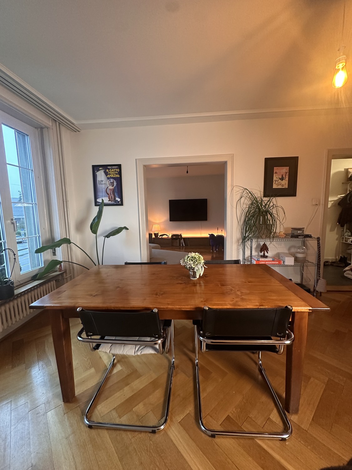 Appartement de 2 ½ pièces, photo 1 sur 10