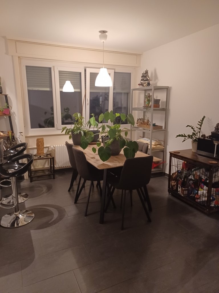 2 ½ rooms apartment, photo 1 sur 9