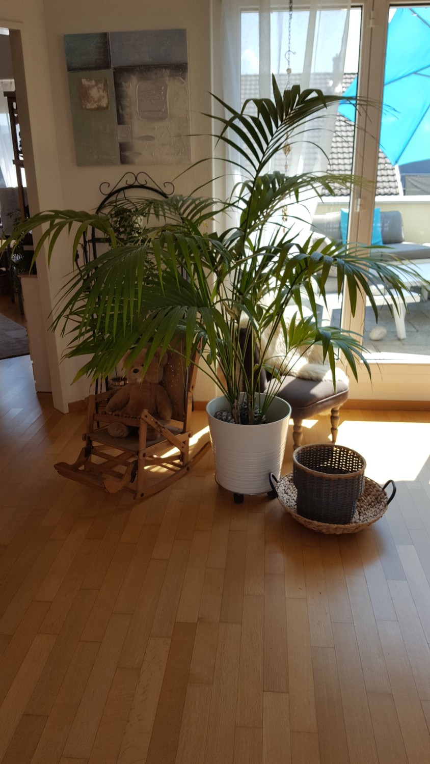 Chambre dans une colocation, photo 5 sur 5