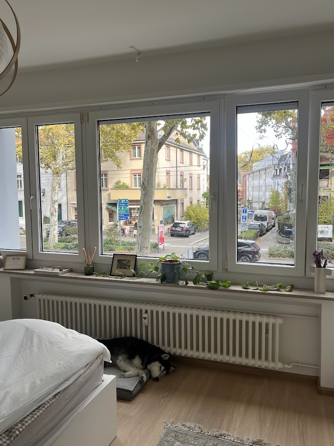 Appartement de 3 pièces, photo 5 sur 10