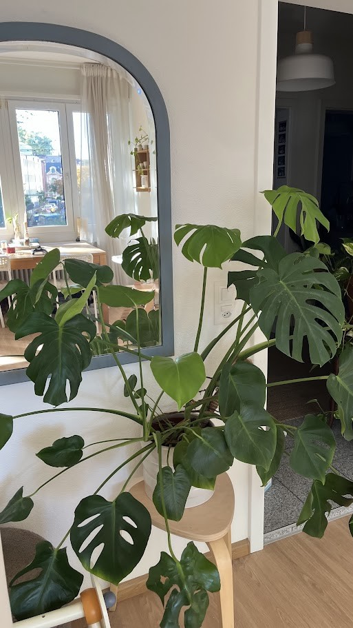 Appartement de 3 pièces, photo 10 sur 10