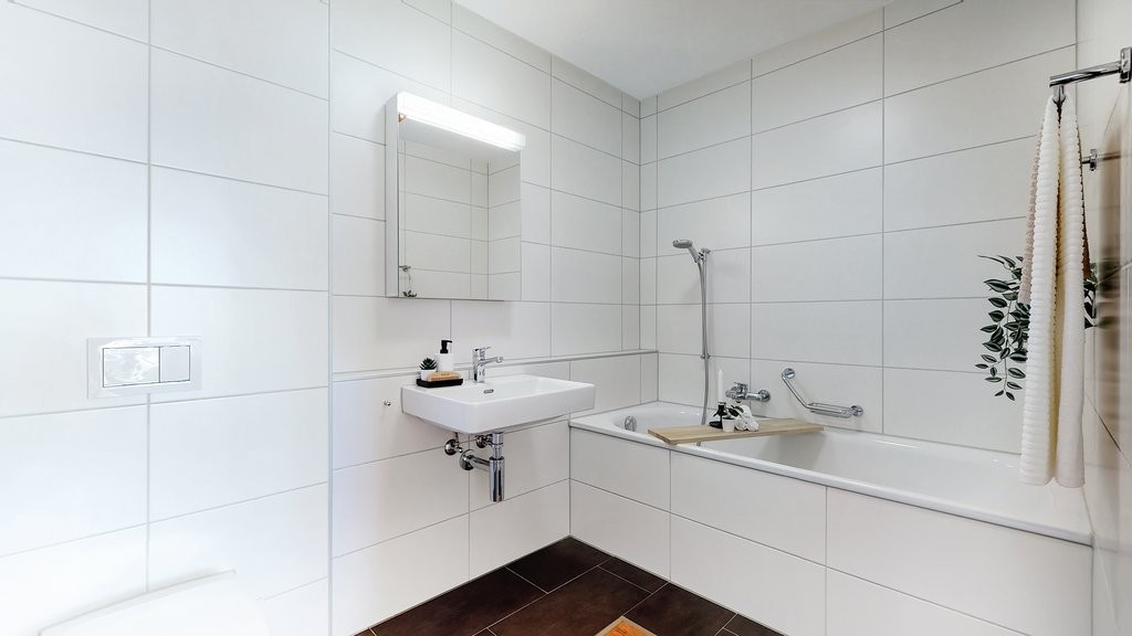 Appartement de 3 ½ pièces