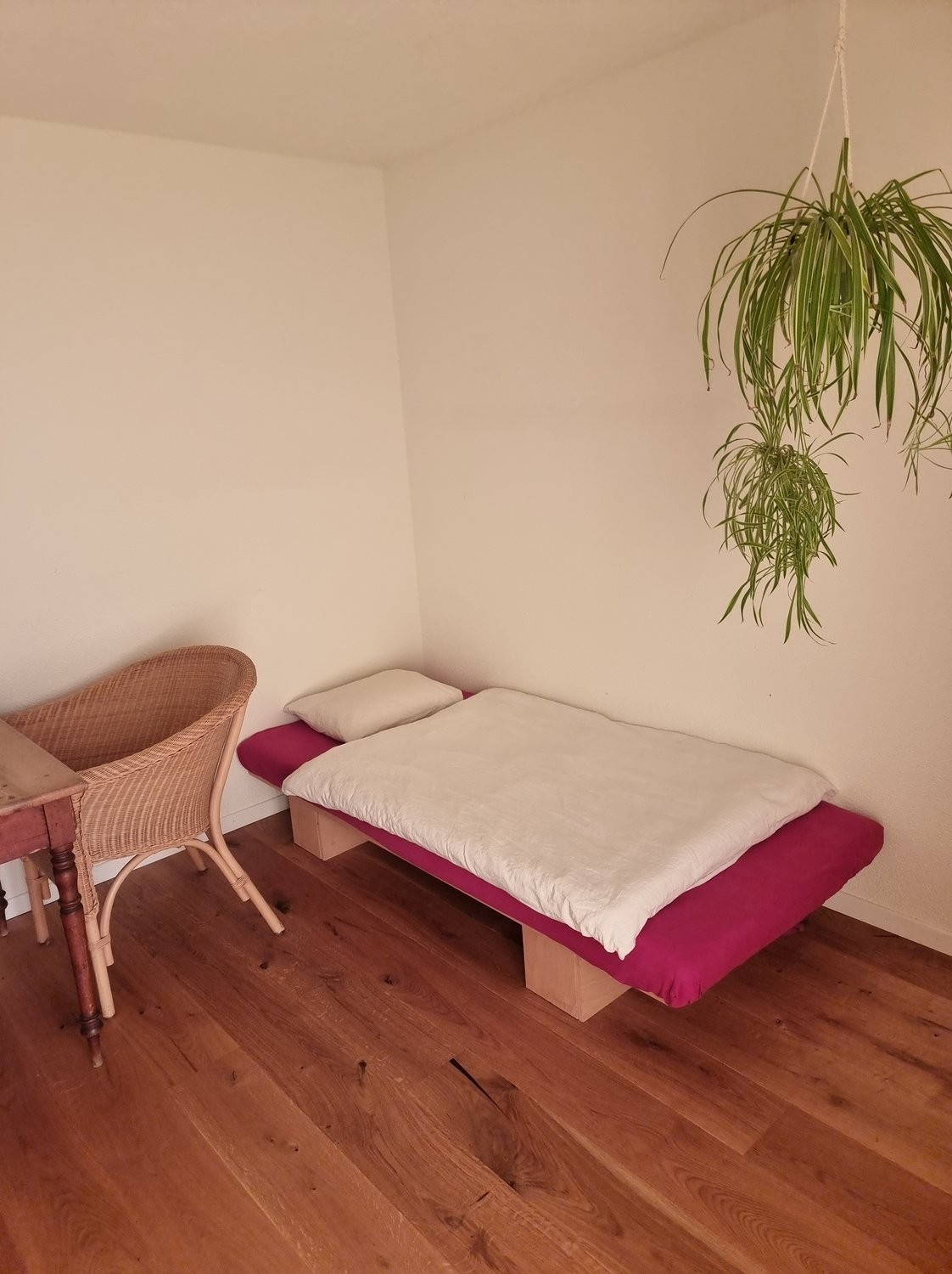 Appartement meublé de 5 ½ pièces