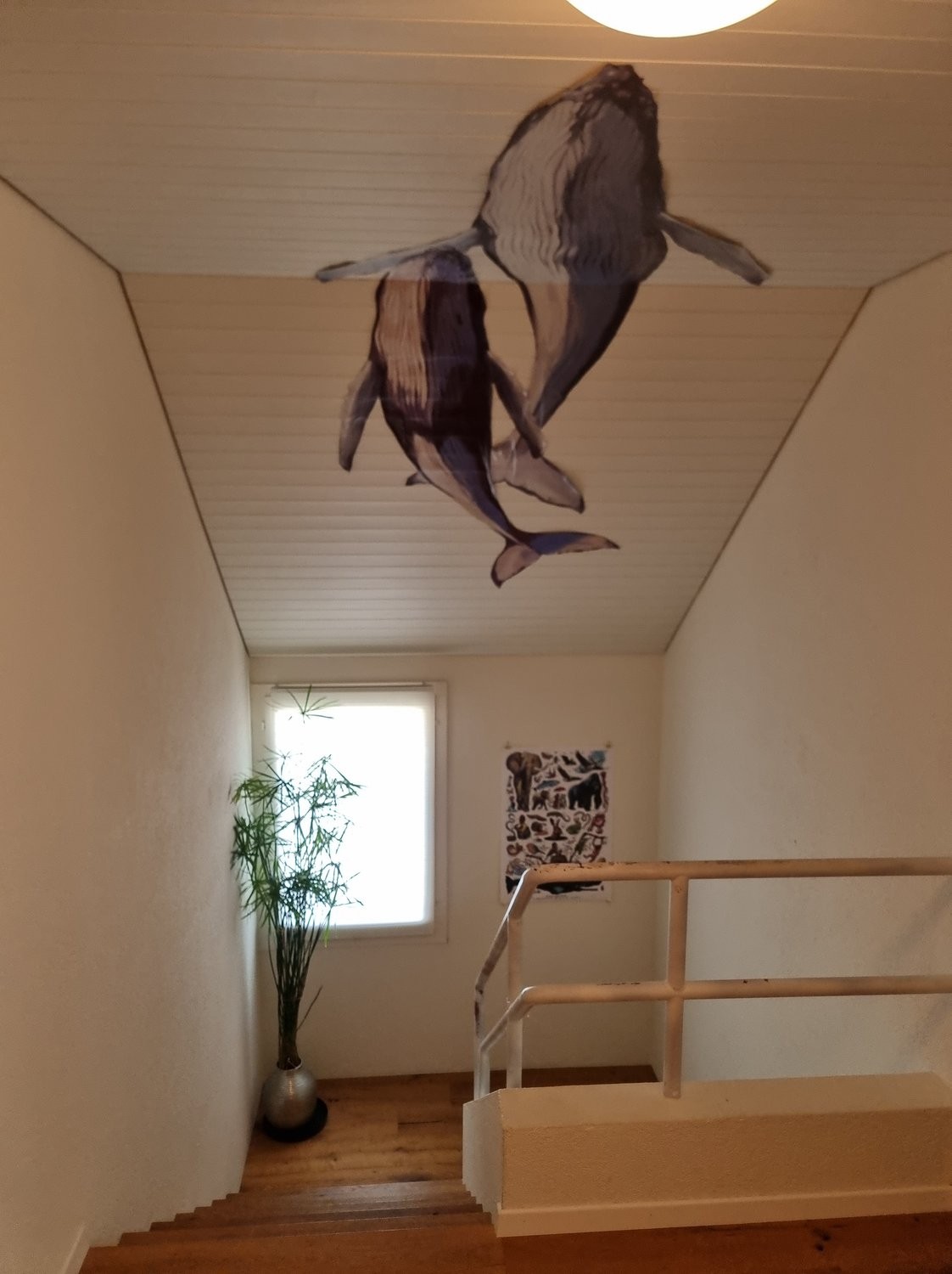 Appartement meublé de 5 ½ pièces