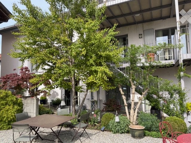 1 ½ rooms apartment, photo 1 sur 4