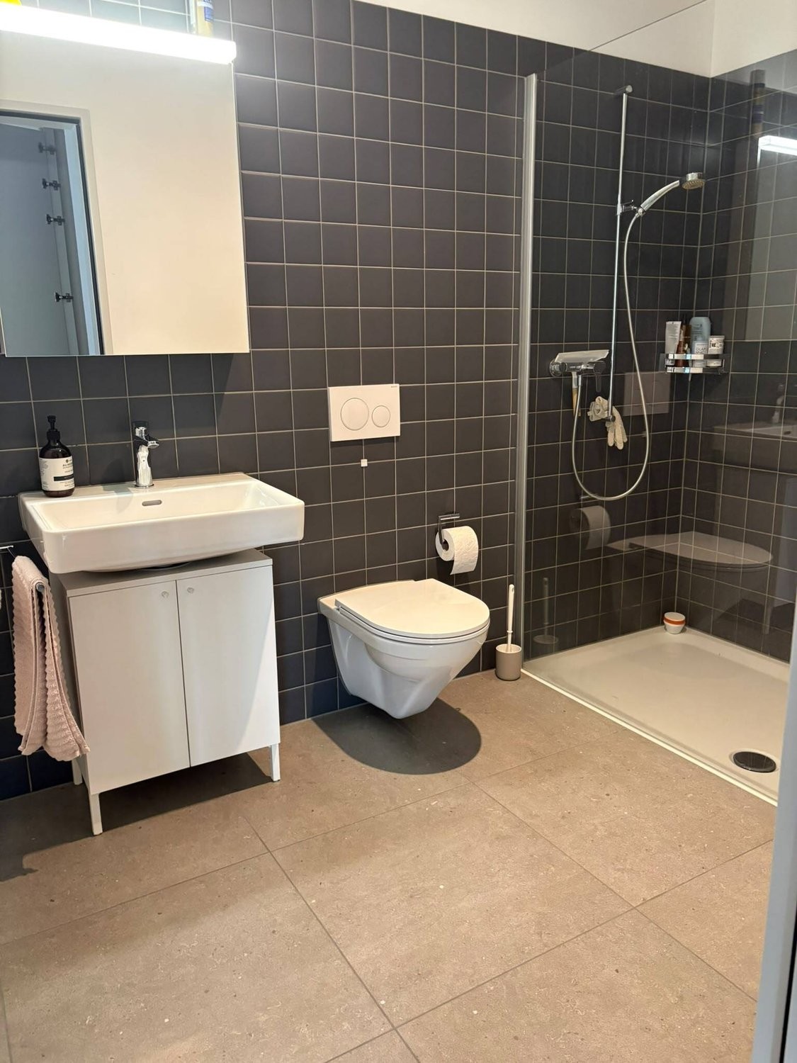 Appartement meublé de 2 ½ pièces