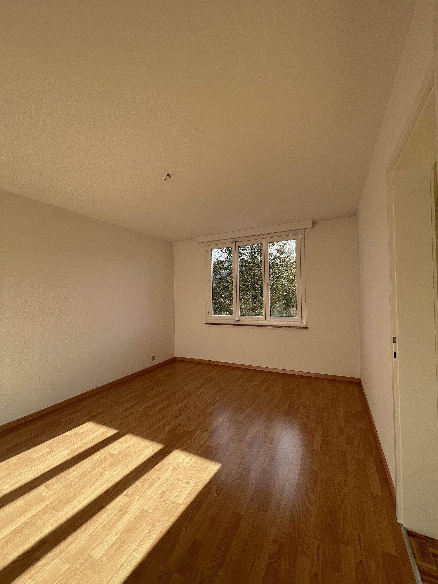 2 ½ pièces appartement, photo 2 sur 6