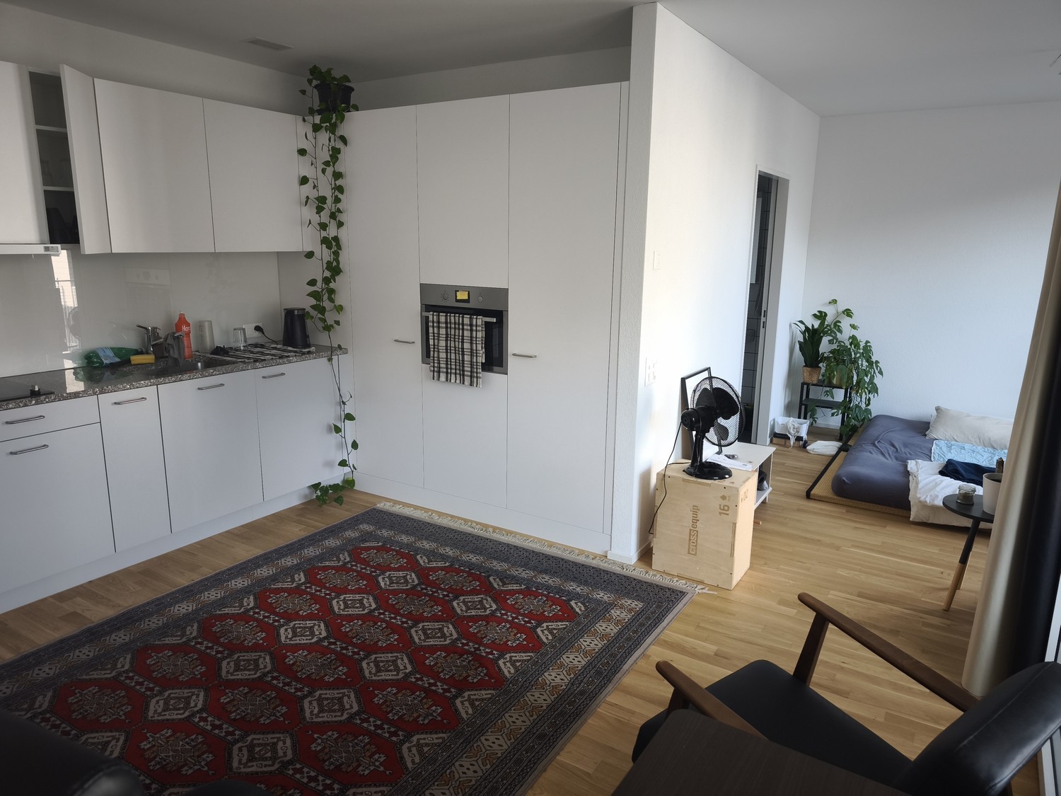 Appartement de 1 ½ pièces