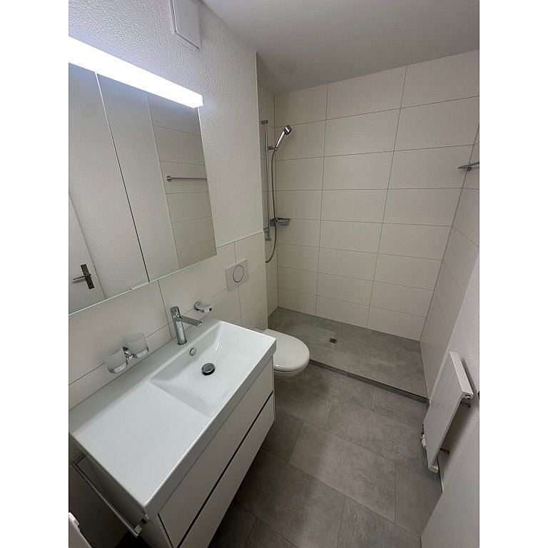 Appartement de 3 ½ pièces