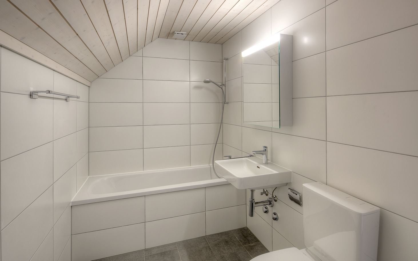 Appartement de 3 ½ pièces