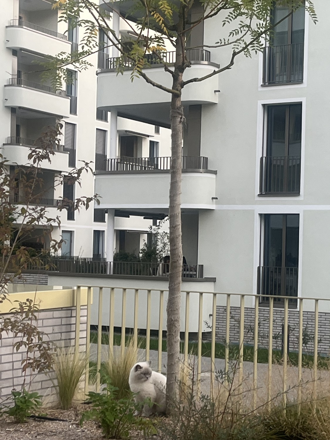 Appartement de 2 ½ pièces, photo 3 sur 10