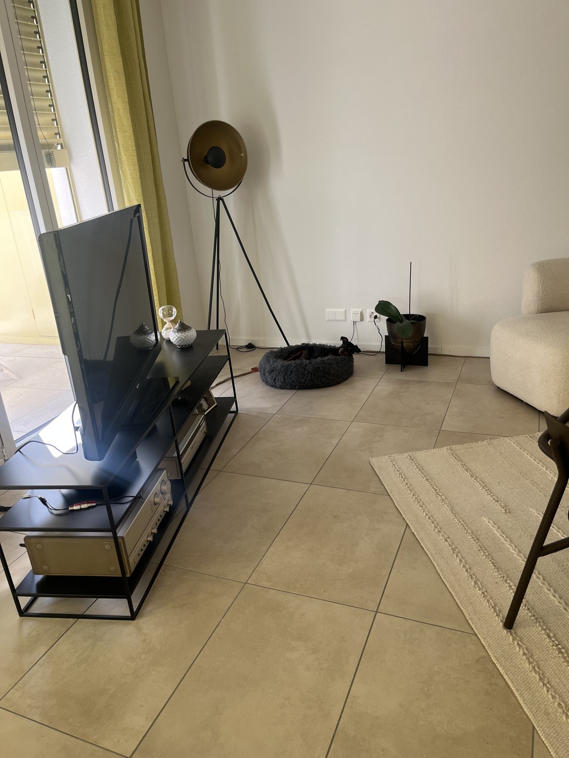 Appartement de 2 ½ pièces, photo 1 sur 10