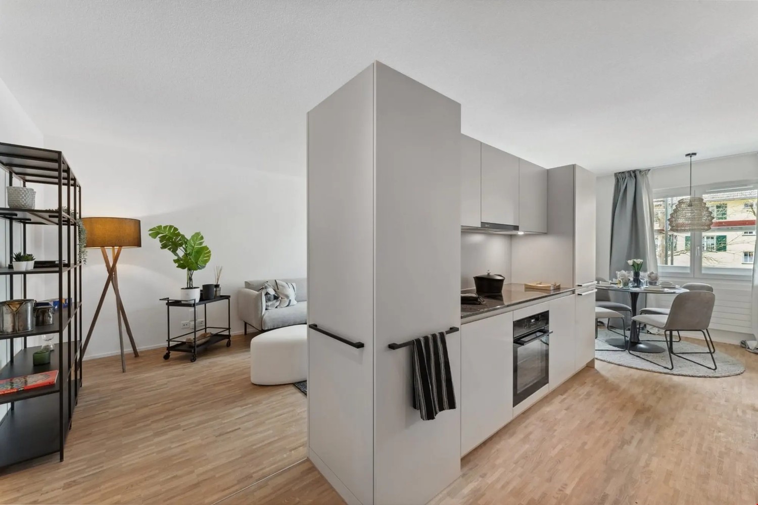 Appartement de 3 ½ pièces