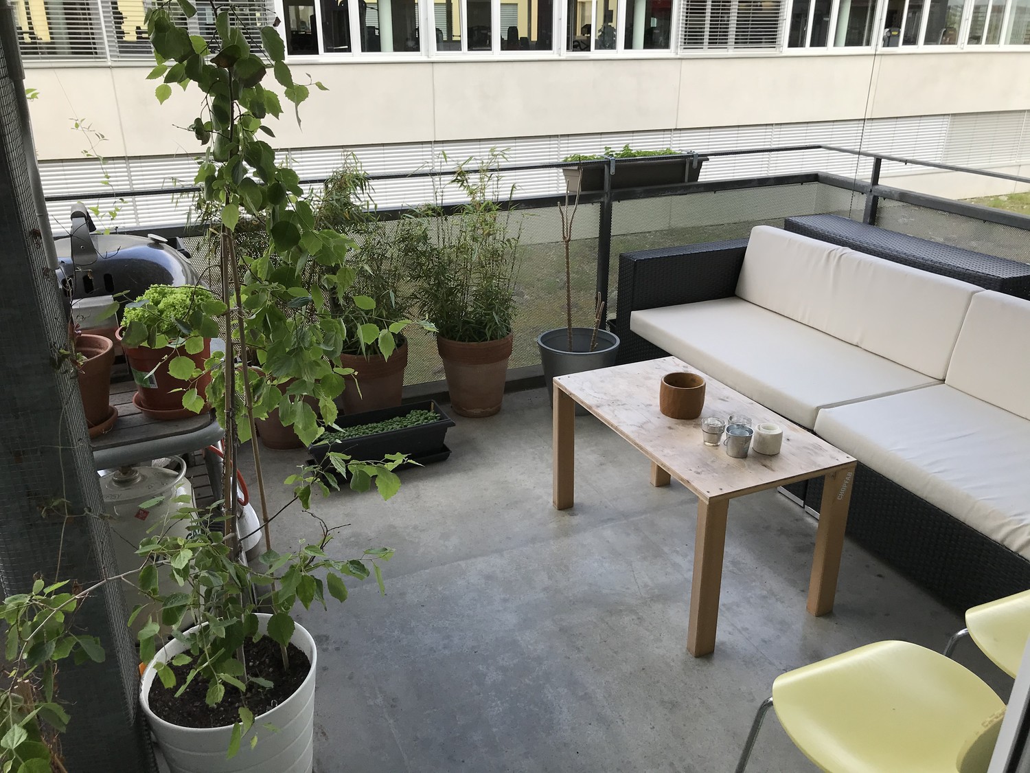 Chambre en colocation
