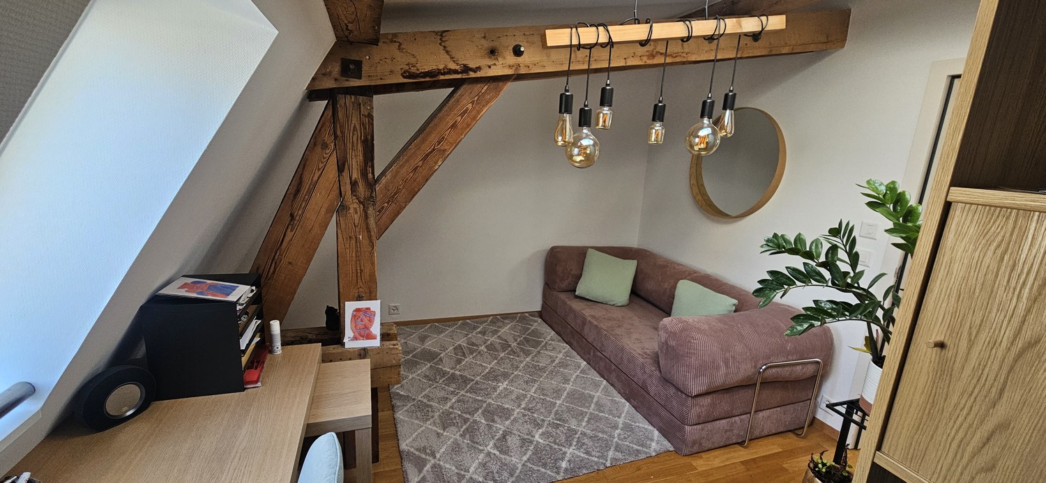 3 ½ rooms apartment, photo 10 sur 10