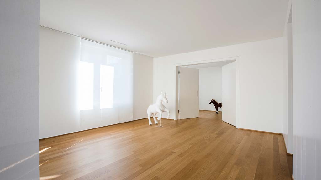 4 ½ pièces appartement au grenier, photo 3 sur 7