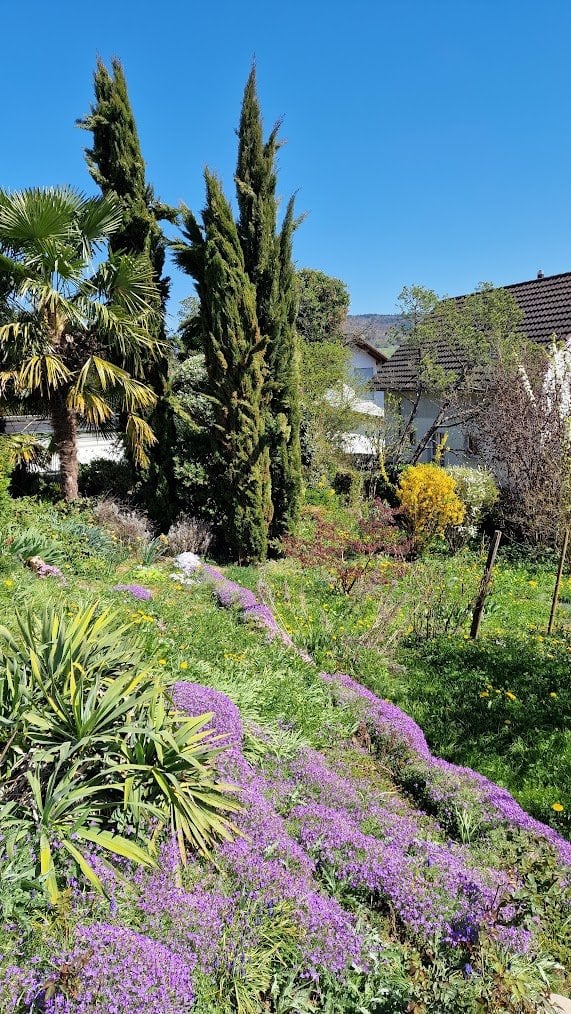 Maison individuelle de 5 ½ pièces, photo 3 sur 4