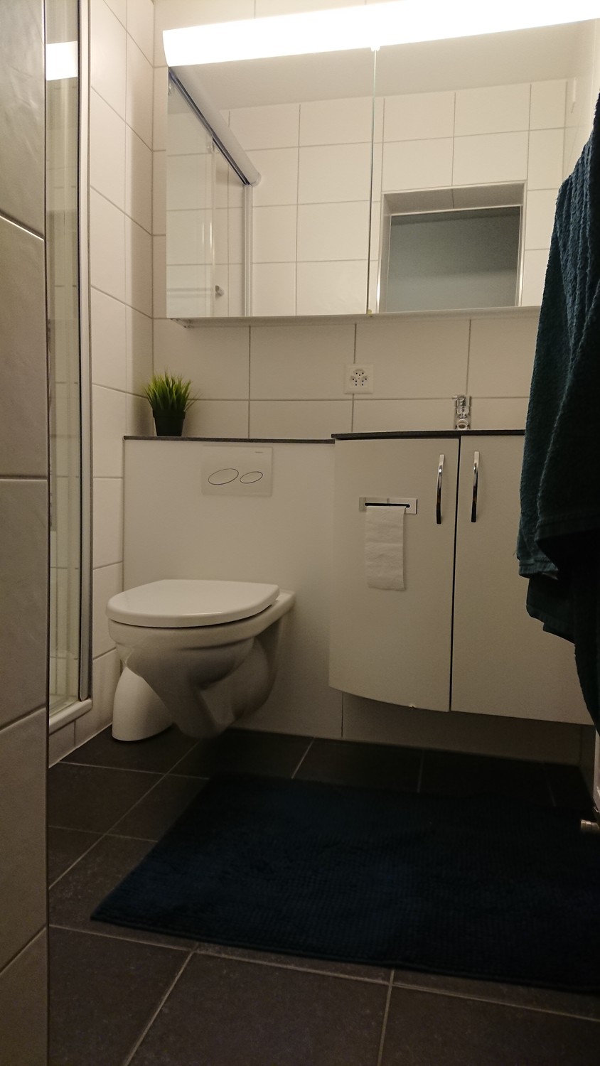 Appartement de 3 ½ pièces
