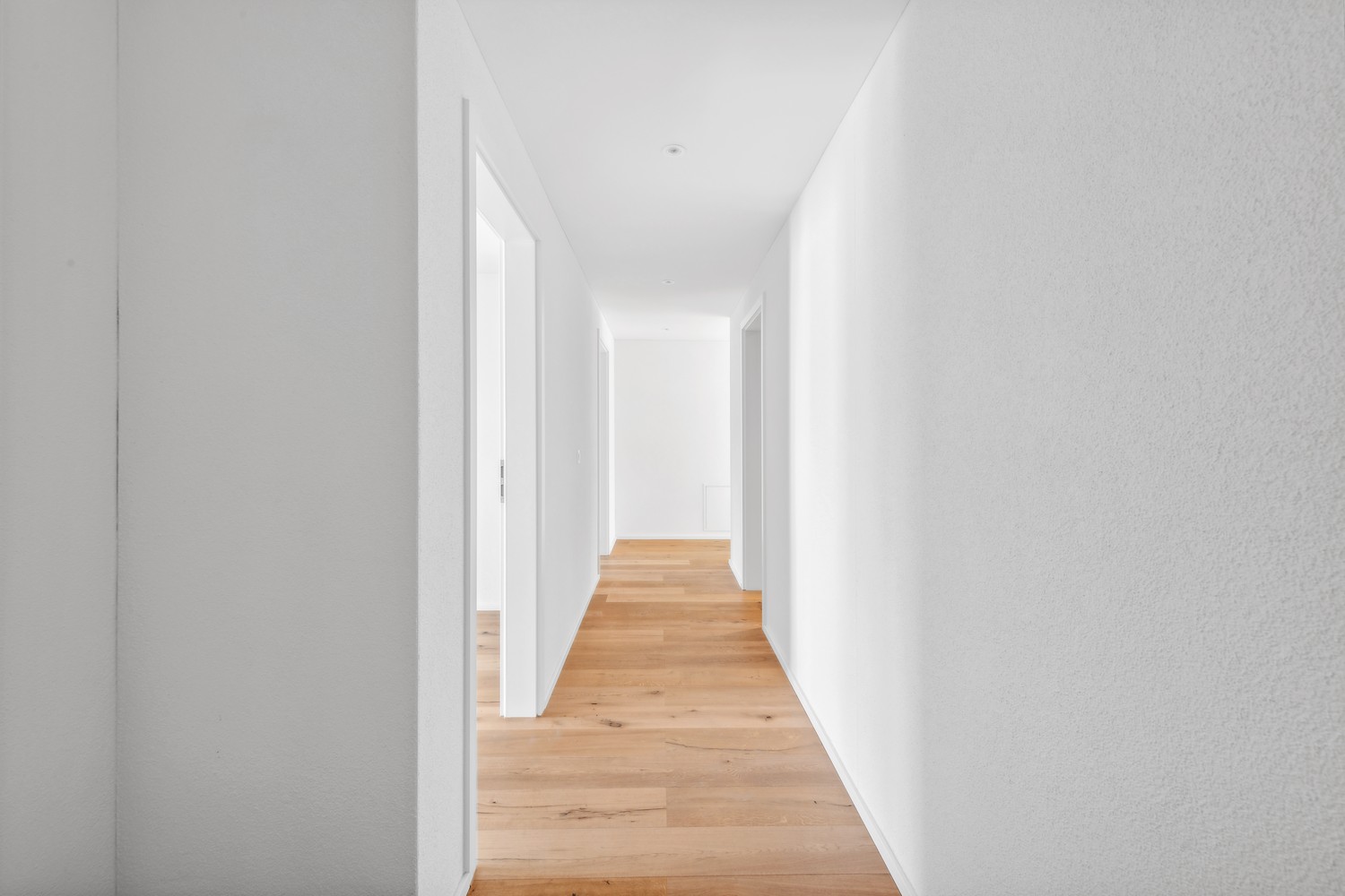 Appartement de 2 ½ pièces, photo 3 sur 8