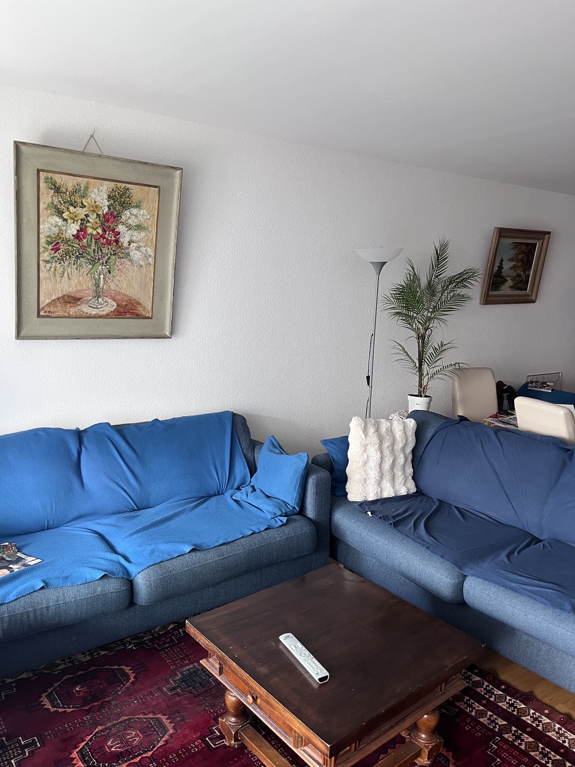 3 ½ Zimmer-Wohnung
