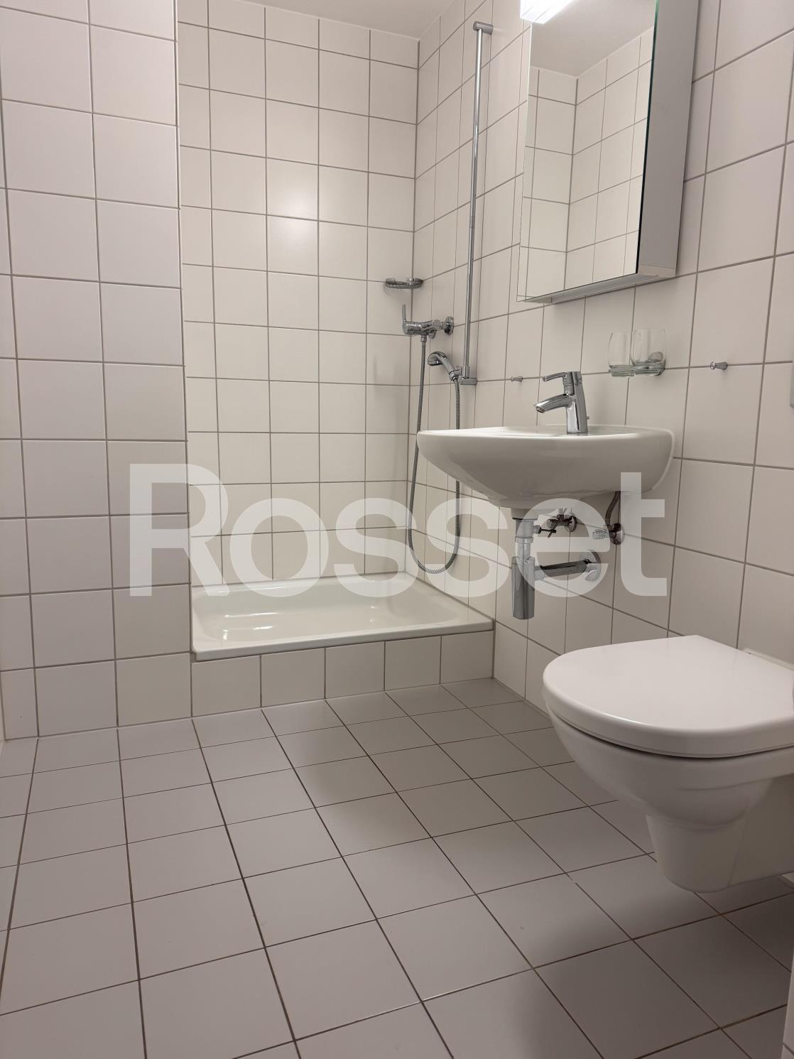 3 ½ Zimmer Wohnung