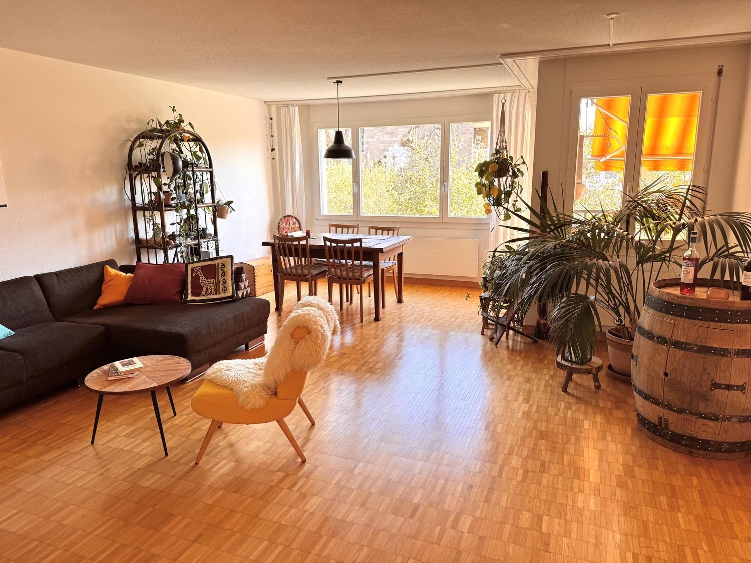 Appartement de 2 ½ pièces, photo 1 sur 6