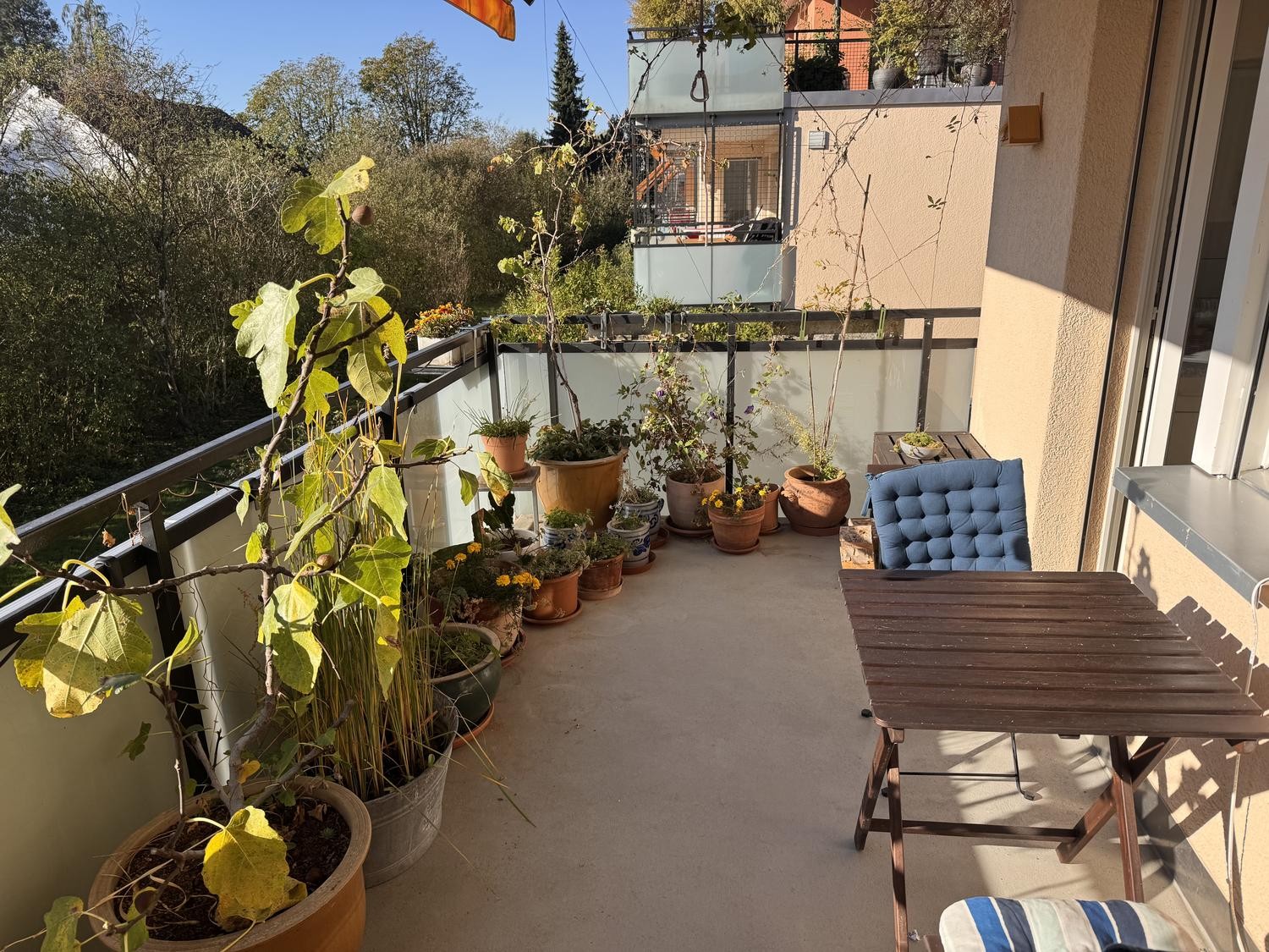 Appartement de 2 ½ pièces, photo 2 sur 6