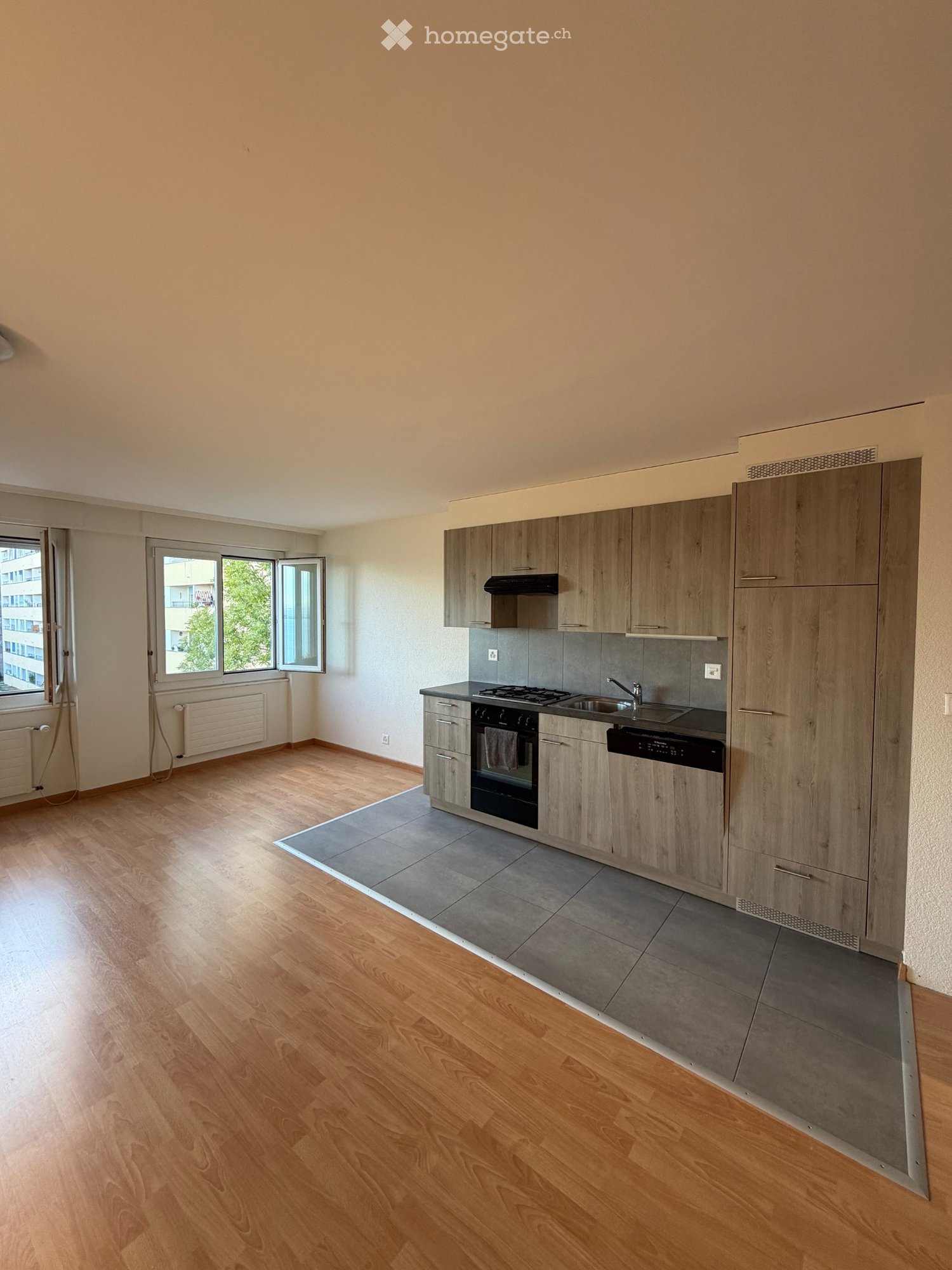 2 ½ rooms apartment