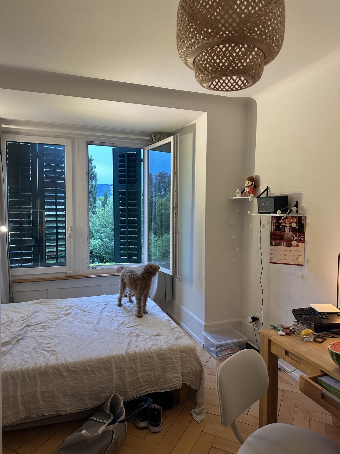 Chambre en colocation