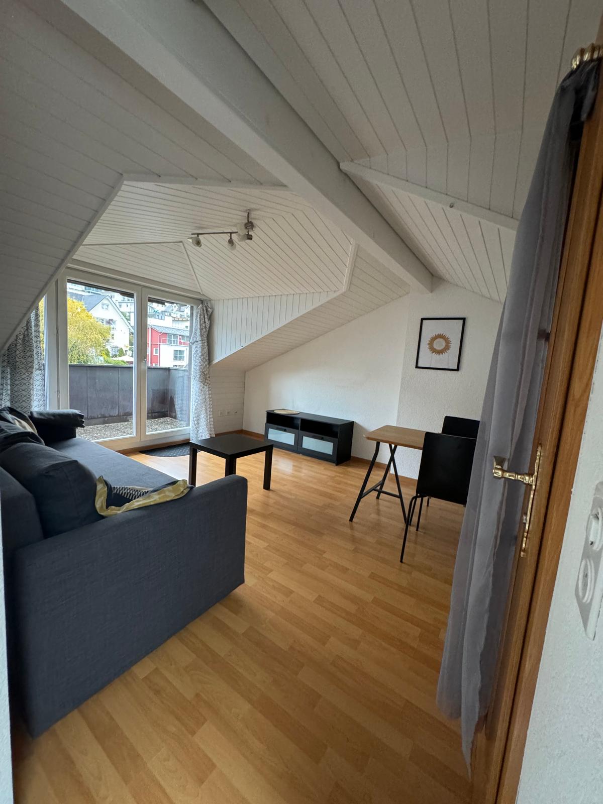 2 rooms roof flat