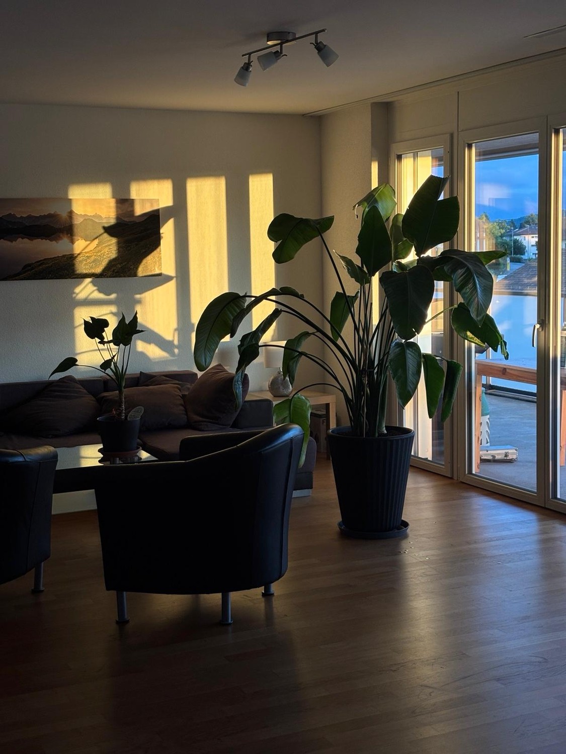 Chambre dans une colocation, photo 2 sur 4