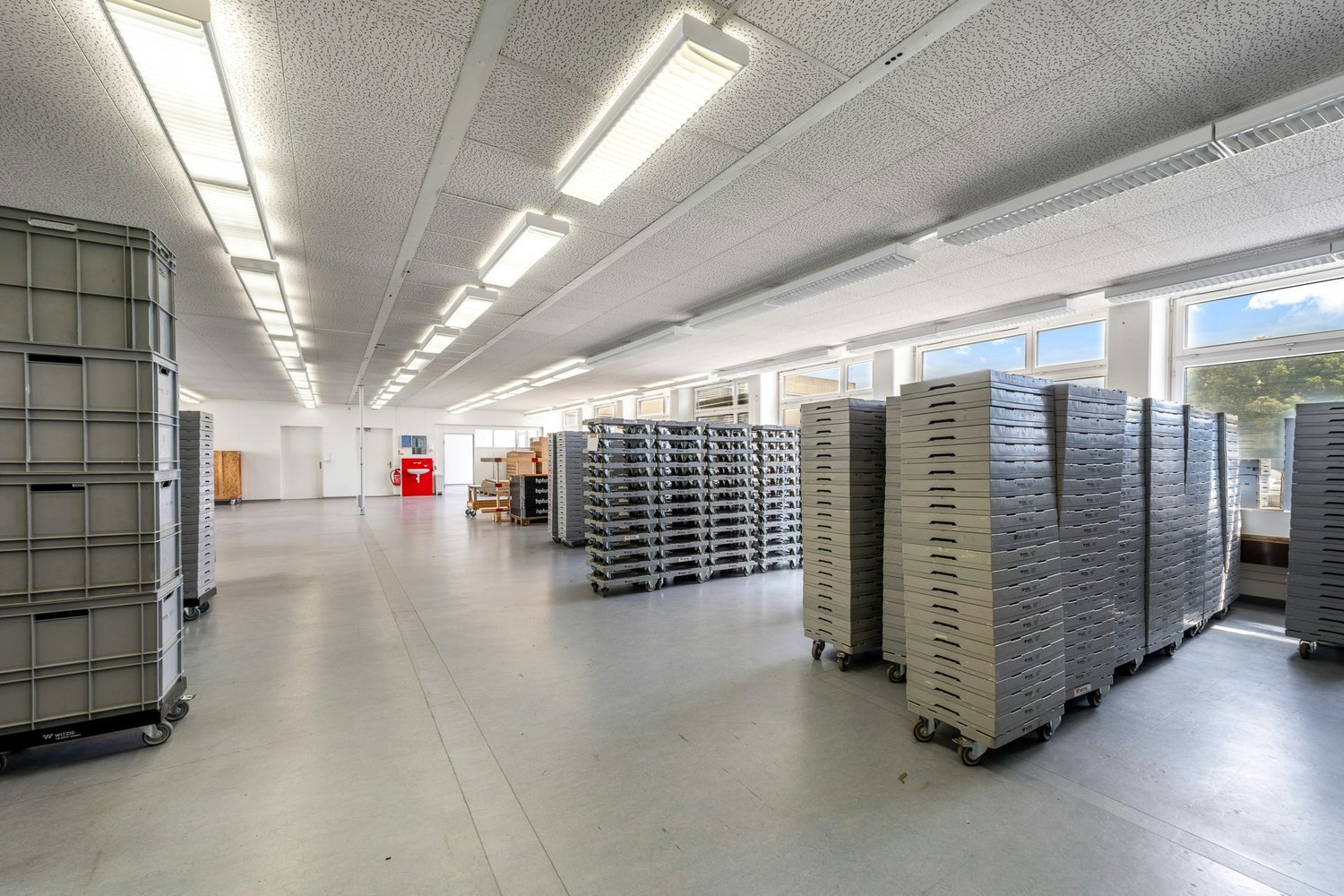 346m² commercial