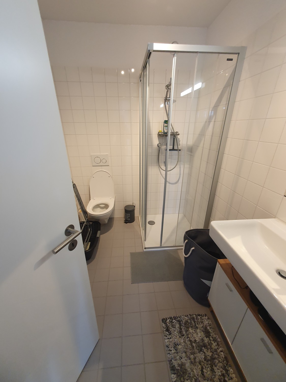 Appartement de 2 ½ pièces, photo 5 sur 6