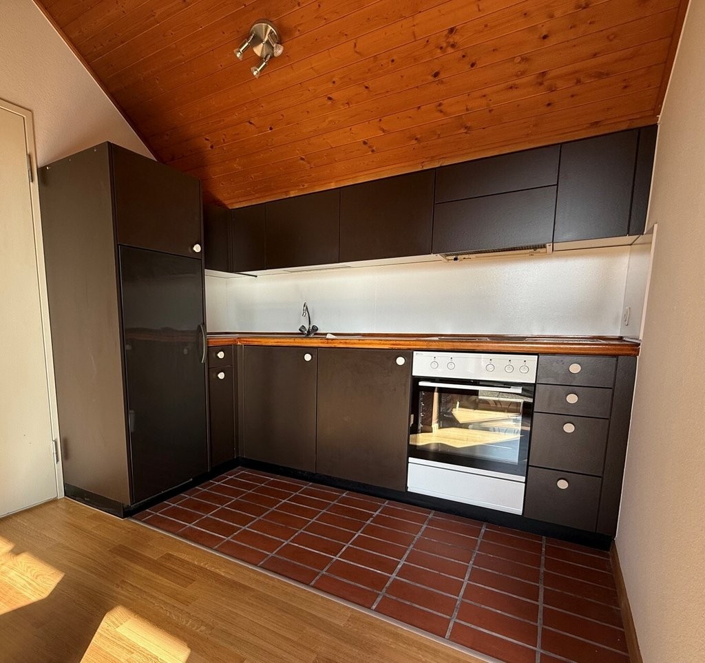 loft 1 ½ pièces