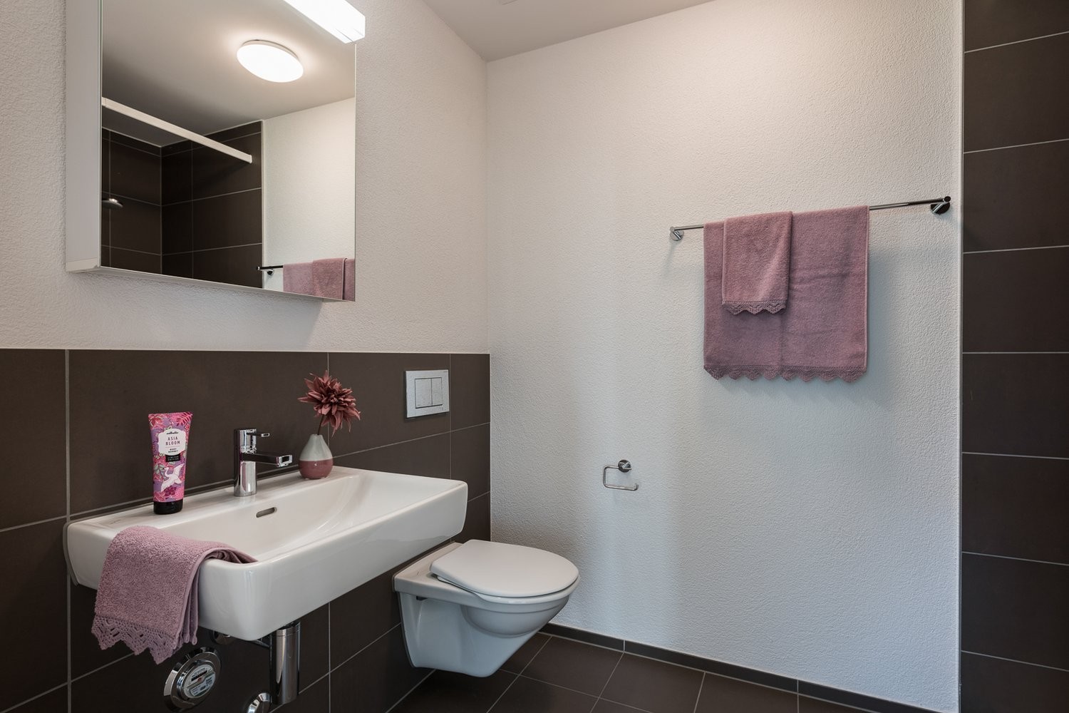 Appartement de 2 ½ pièces, photo 4 sur 7