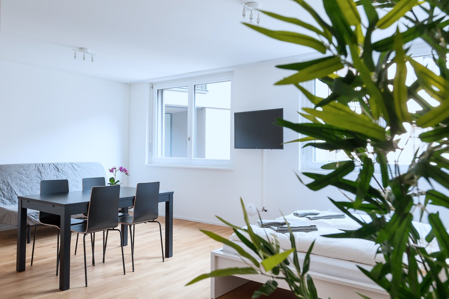 Appartement meublé de 1 ½ pièces