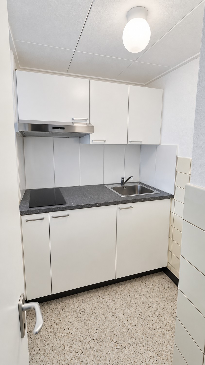 Appartement de 1 ½ pièces