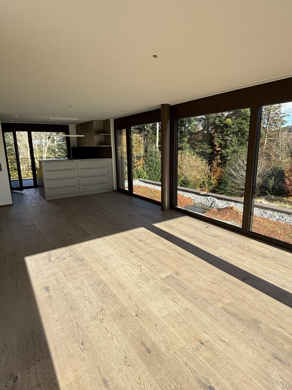 3 ½ pièces appartement au grenier