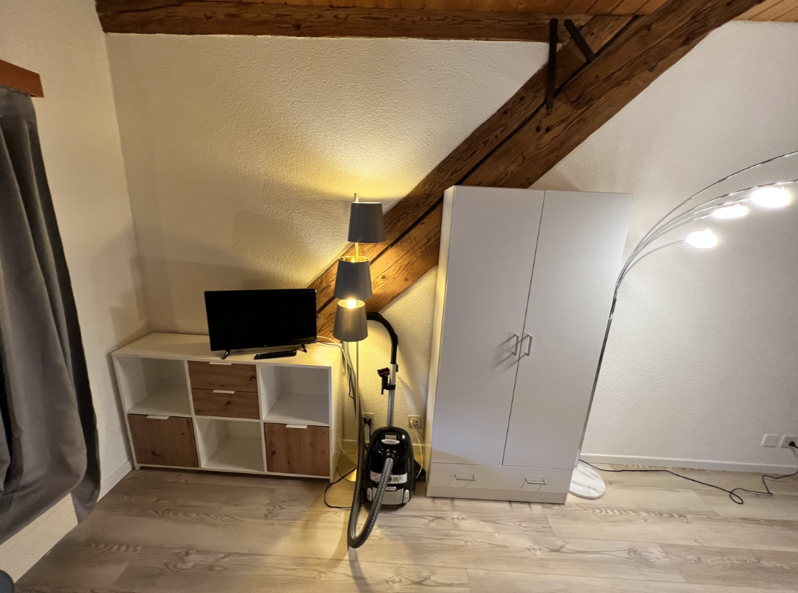appartement 1 pièce