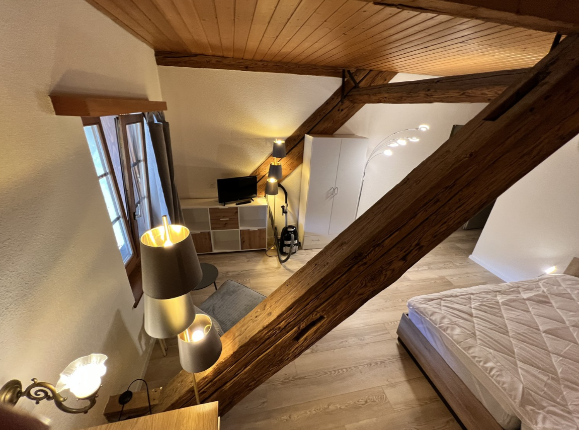 appartement 1 pièce