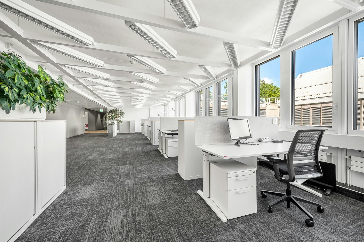 110m² bureau, photo 8 sur 10