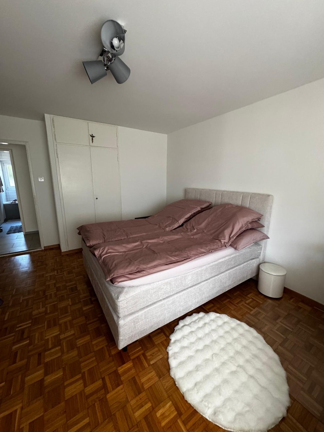 Appartement de 3 ½ pièces
