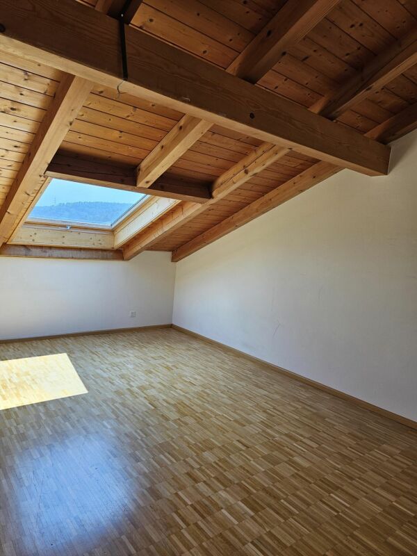 3 pièces appartement sous les toits
