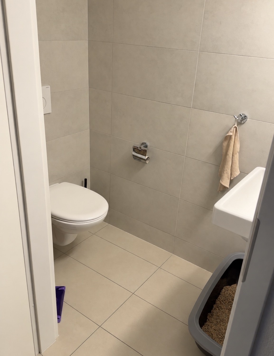 2 ½ rooms apartment