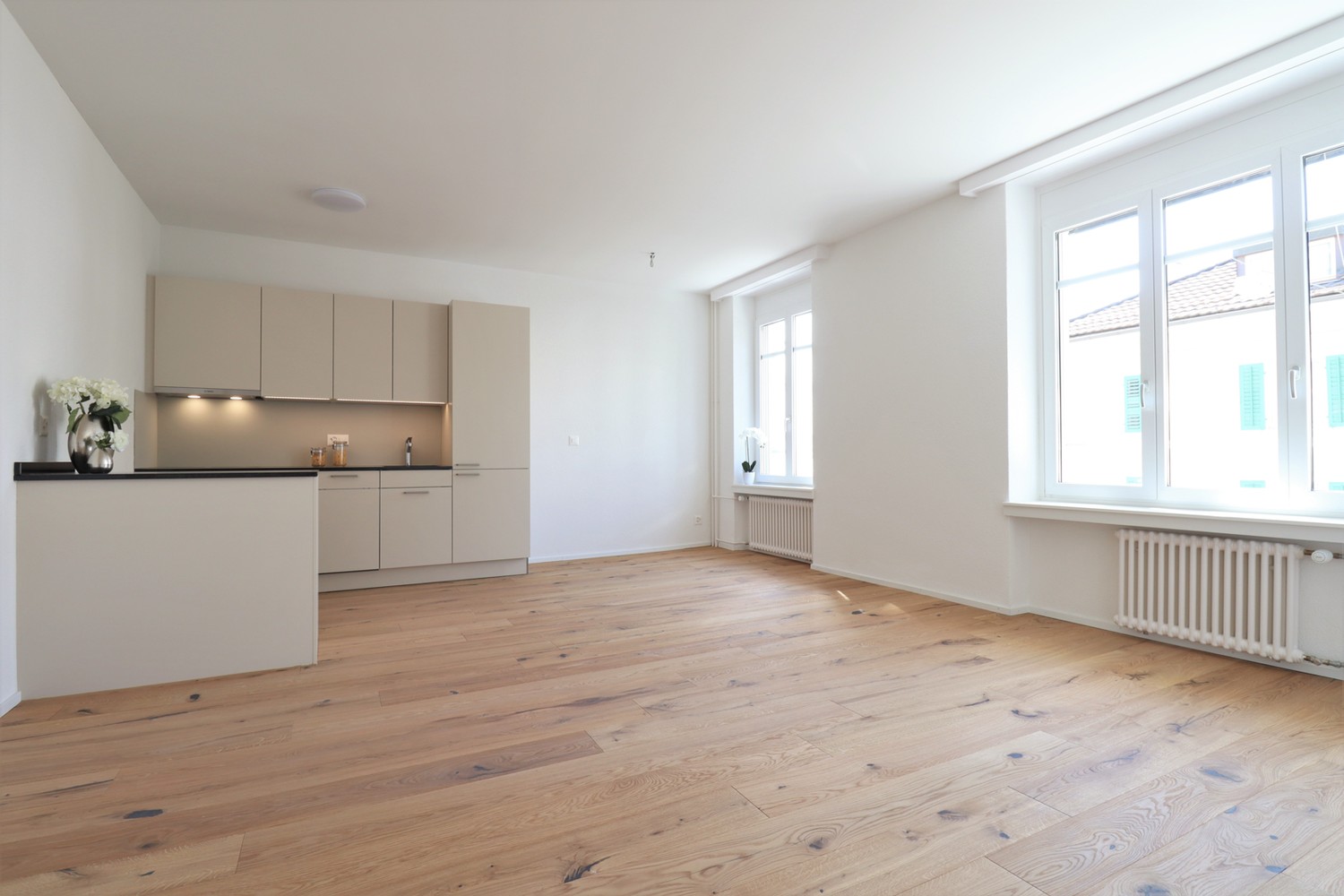 Appartement de 2 ½ pièces, photo 1 sur 9